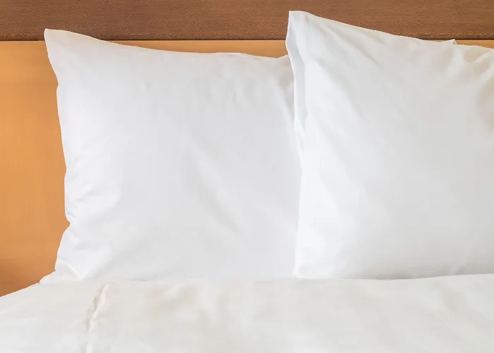 Crowne Plaza Msp Airport - Mall Of America By Ihg Hotel Bloomington